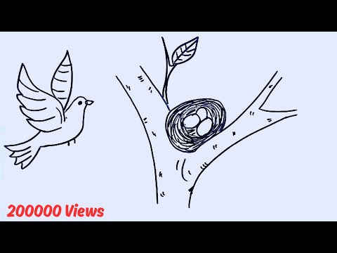 How To Draw A Bird With Pencil, Drawing