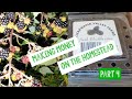 Making Money Blackberries Part 4