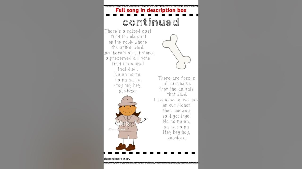 The Fossil Song Types of Fossils fossils sillysongs 