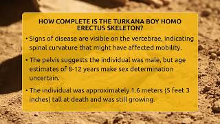 How Complete Is The Turkana Boy Homo Erectus Skeleton? - Anthropology Insights