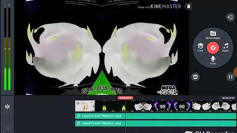 Larva Intro G-Major 100