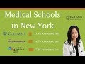 Medical Schools New York. Public and Private Medical Schools in New York