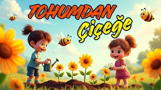 Tohumdan Çiçeğe 🌱 Çocuklar İçin Doğa Ve Büyüme Şarkısı Eğitici Çocuk Şarkısı Resimi