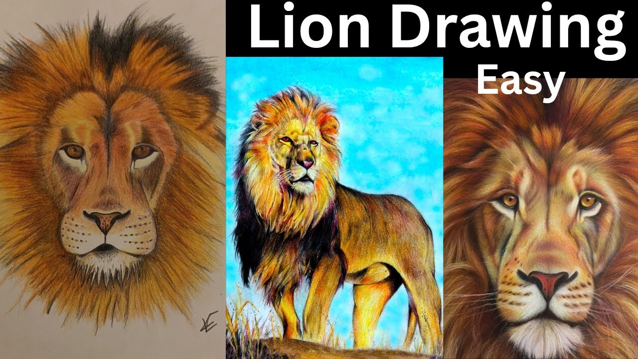 Realistic Lion Drawing With Pencil|Step by Step Lion Sketch Tutorial|Tanis Artworks|