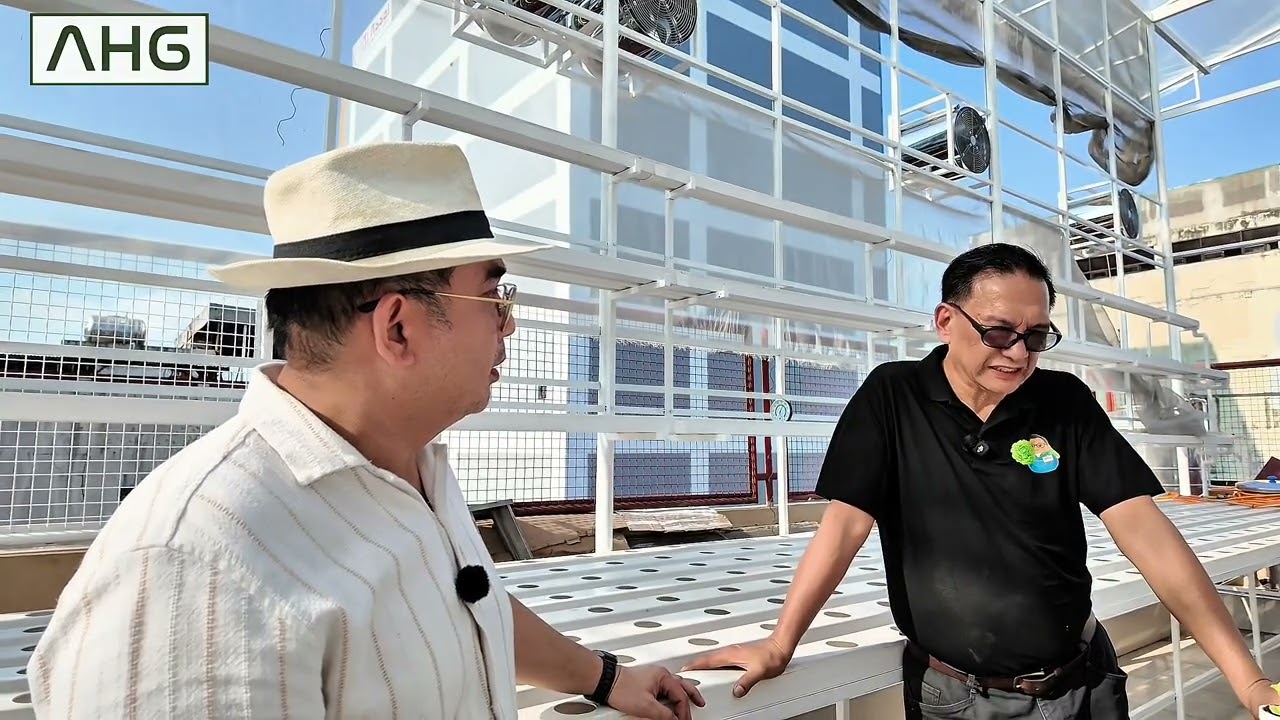 A Million Question with Alfrea