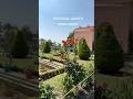 Chashma Shahi Garden &amp; Nishat Garden | Srinagar Famous Garden #shortvideo #kashmirgarden