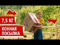 Распаковка 7,5 кг конной посылки!