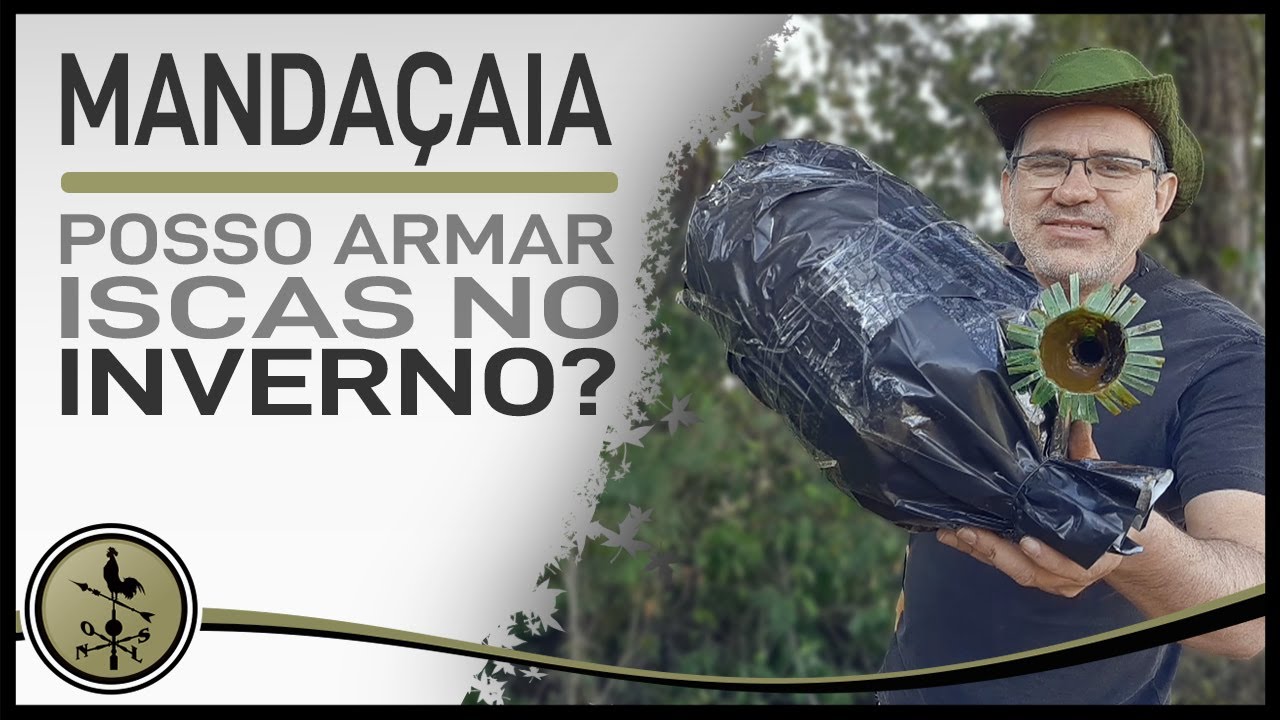 Estratégia para conseguir seu enxame de Mandaçaia - (Melipona Quadrifasciata)