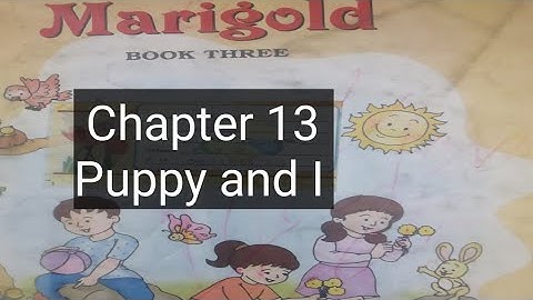 Ncert Class 3 English Chapter 13(Puppy and I)