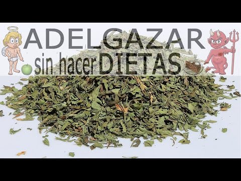 Como tomar el stevia para adelgazar