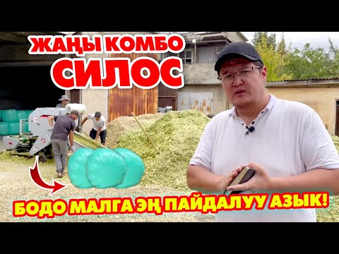 Video: Став силос деген эмне?