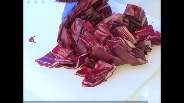 🔬 How To Make Red Cabbage Indicator With Kids At Home