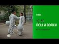 Анонс, Псы и Волки, 1 сезон, Премьера с 1 Мая в 19:30 на НТВ, 2026