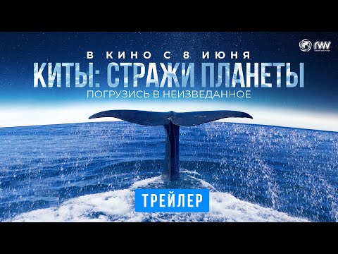 КИТЫ: СТРАЖИ ПЛАНЕТЫ | Трейлер и видеообращение Сергея Бурунова | В кино с 8 июня