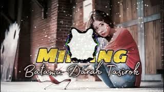 Batamu Darah Tasirok - Minang Paling Asik🌴 || Lagu Remix Terbaru || Enak Buat Santuy🔥