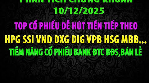 Cổ Phiếu Dễ Được Tiền Luân Chuyển AGR SSI HCM VCI VND MSB MBB VPB DIG DXG VIX HPG PVD PLX HHV MSN...
