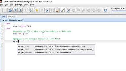 Leitura de um Float em ASSEMBLY
