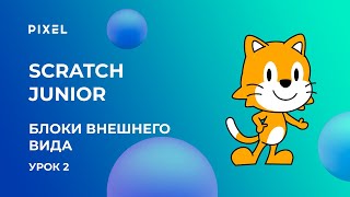 Программирование для детей на Scratch Junior (Скретч Джуниор). Урок 2:  Блоки внешнего вида