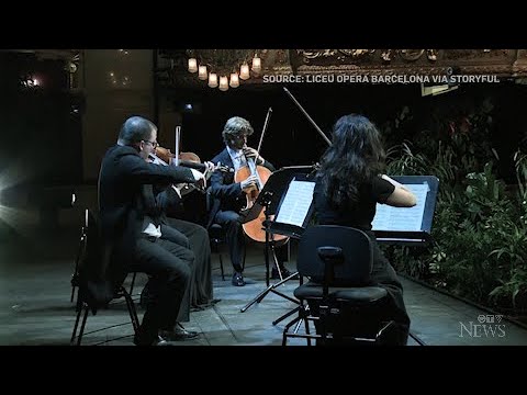 A string quartet performed for an audience of 2,292 plants in Barcelona,  amid ongoing restrictions