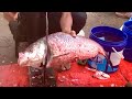 Professional fish cutter || new cutting skills || local fish market || katla fish cutting