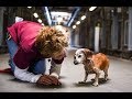 18 Year Old Blind Dog Meets Her First Person At The Shelter And Refuses To Let Go