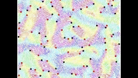 Hugues Chaté - Bacterial active nematics: how modeling can be really quantitative - BPPB Seminar