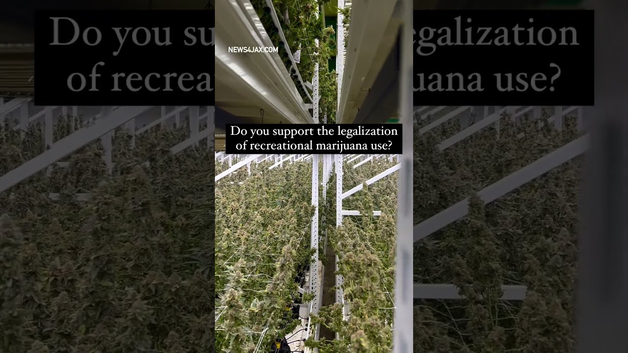 Voters in #Florida will have the opportunity to vote “yes” or “no” to legalize adult-use #marijuana