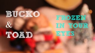 Bucko & Toad "Frozen In Your Eyes"