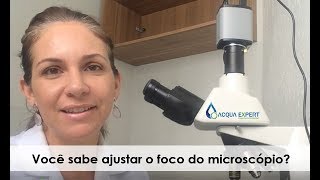 Você sabe ajustar o foco do microscópio?
