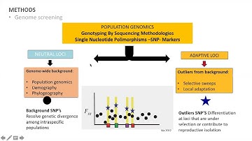 Iván F. Calixto-Botía - Preliminary insights from population genomics of Metamasius hemipterus