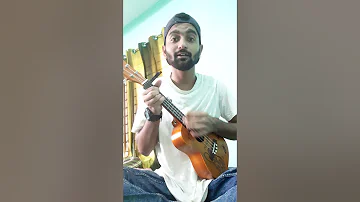 Birsiney Hau Ki - The Elements [ Himal Gautam ukulele cover] ukulele