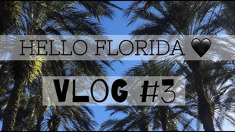 Hello Florida! // DCP Spring 2017