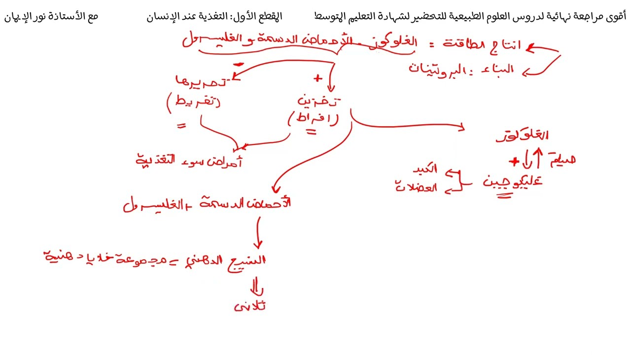 الملخصات الشاملة للمراجعة النهائية للعلوم الطبيعية الجزء  05 التوازن الغذائي اخر جزء للمقطع 01