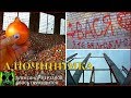 Началось в колхозе утро 3/69. Заключительный выпуск.