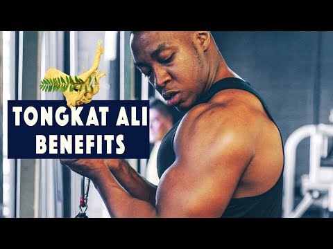 4 BENEFITS OF TONGKAT ALI (& concerns) | Testosterone *Vitaliser for men & women