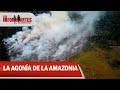 La agonía de la Amazonia: el grito de auxilio de la selva más grande del planeta - Los Informantes