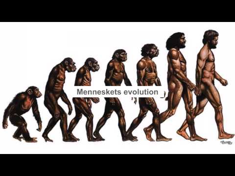 Video: Hvad er de tre hovedårsager til evolutionære forandringer?