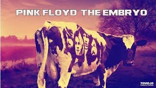 PINK FLOYD - THE EMBRYO - UNRELEASED RE-IMAGINED ALBUM (1970)