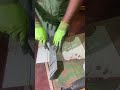 See How Metal Changes Shape in Minutes!