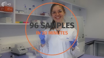 How to use EchoLUTION Cell Culture RNA Kit