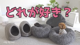 新しくベッドを買ったら犬の生活が激変した！【犬のベッド】