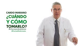 CARDO MARIANO INFUSIÓN  La infusión que debes tomar por las mañanas para  limpiar el hígado y depurar el organismo