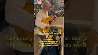 Mark Boden guitar master class