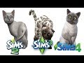 ♦ Sims 2 vs Sims 3 vs Sims 4 : Kittens