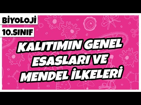 10. Sınıf Biyoloji - Kalıtımın Genel Esasları ve Gamet Çeşidi Bulma | 2022