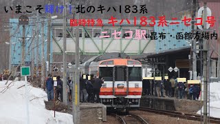 【キハ183系ニセコ号】函館線 ニセコ駅 昆布・函館方場内 JR北海道 臨時特急 いまこそ輝け！北のキハ183系 ラストラン