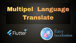 Easy Localization in Flutter Full Video || How to implement multiple language in Flutter
