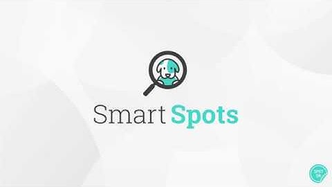 5 Steps to Creating Your Content Development Strategy