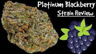 Platinum Blackberry OFFICIAL Strain Review