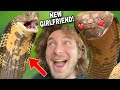 Kevin the king cobra gets a girlfriend